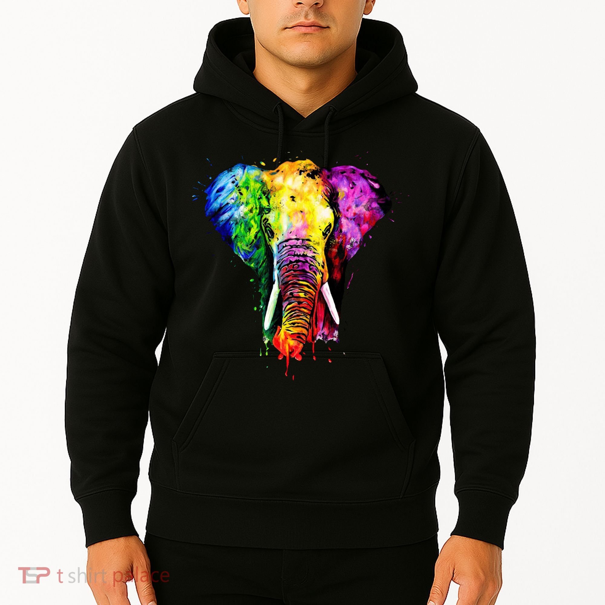 Rainbow Elephant Art Cute Gift Hoodie