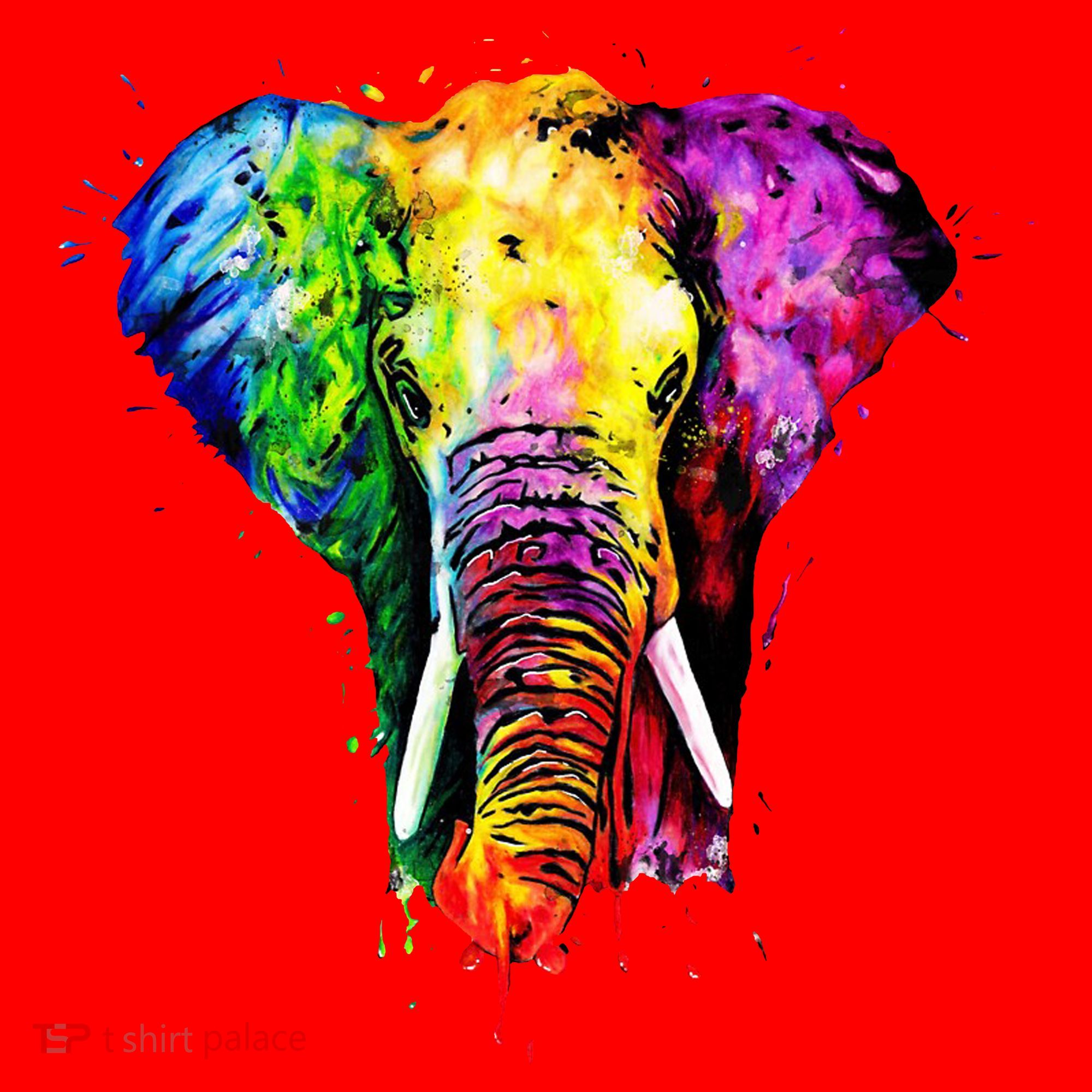 Rainbow Elephant Art Cute Gift Santa Hat