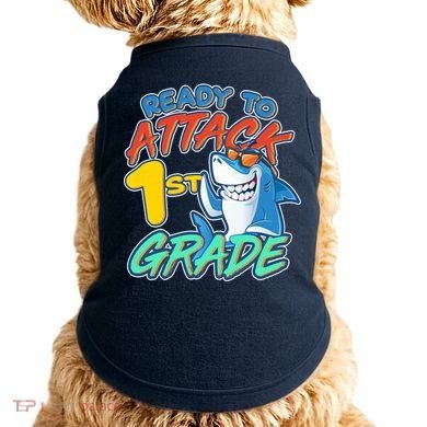Ready To Attack 1st Grade Shark Doggie Tank