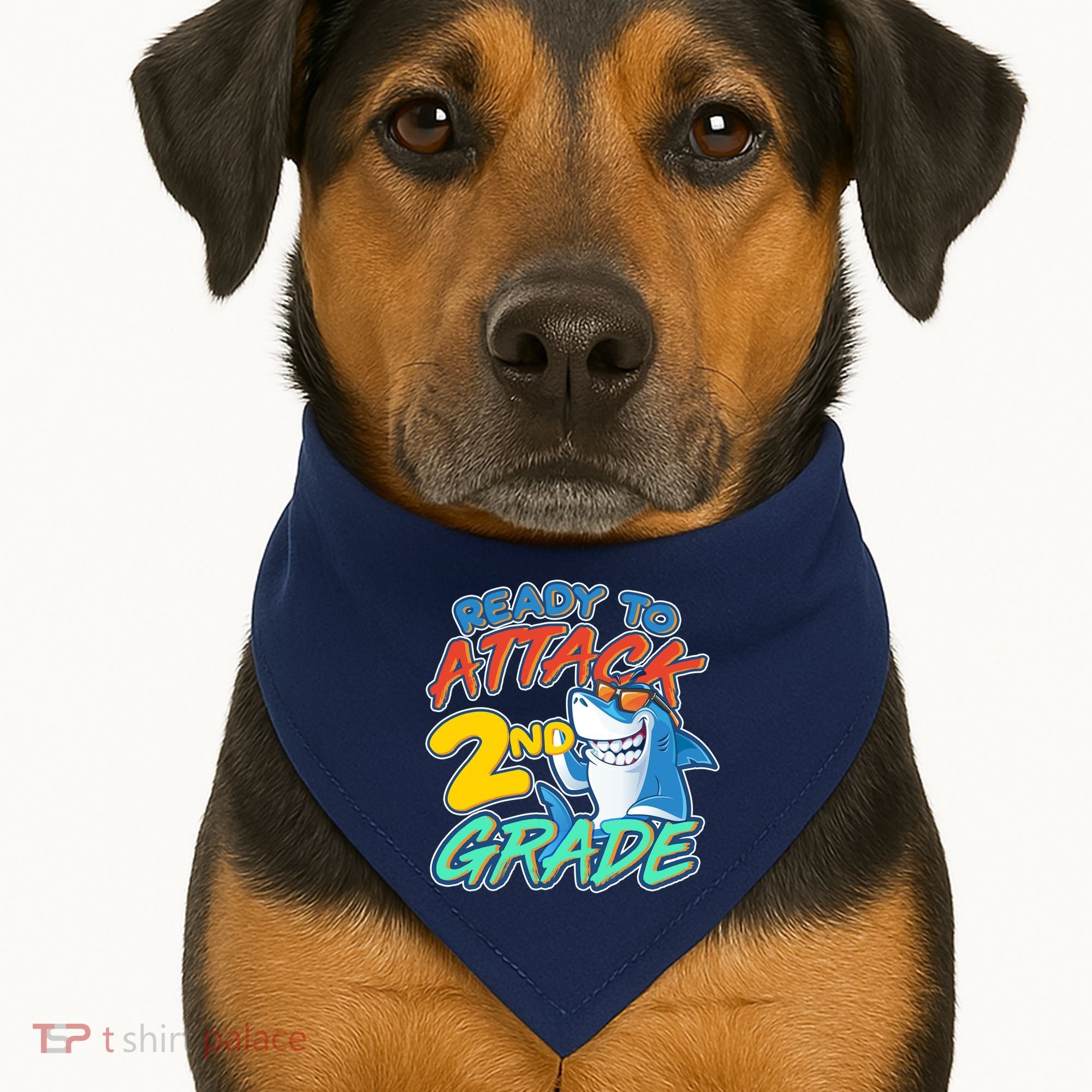 Ready to Attack 2nd Grade Shark USA-Made Doggie Bandana