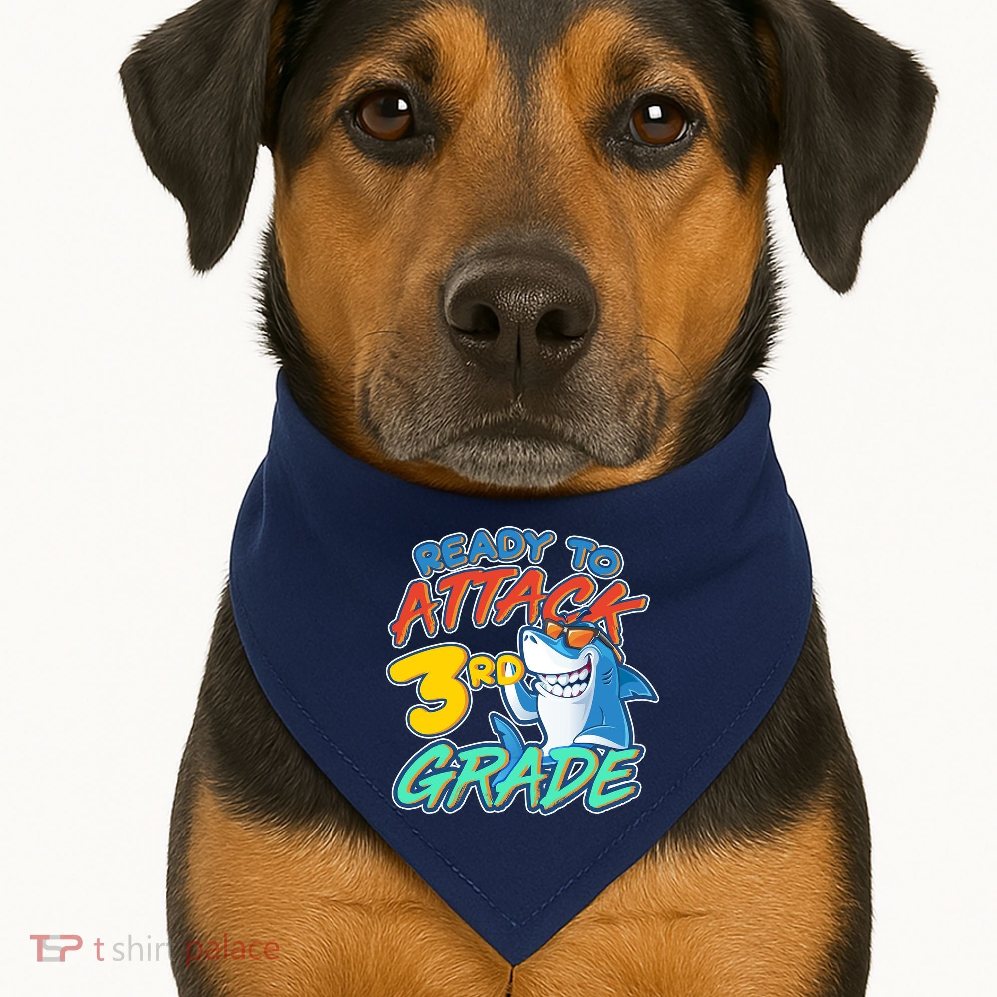 Ready To Attack 3rd Grade Shark USA-Made Doggie Bandana