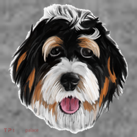 Realistic Dog Face Women's T-Shirt thumb 6