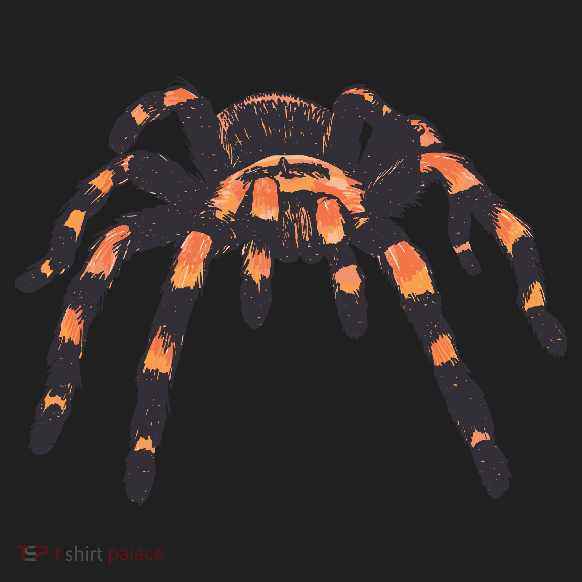Realistic Tarantula Women's Sweatshirt