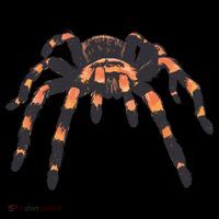 Realistic Tarantula Backpack thumb 2
