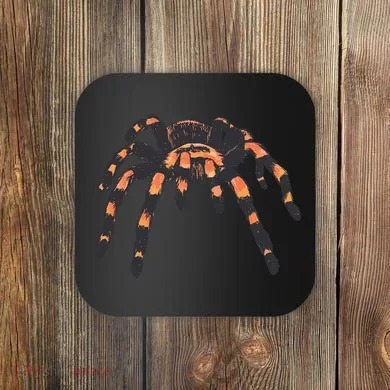 Realistic Tarantula Coaster
