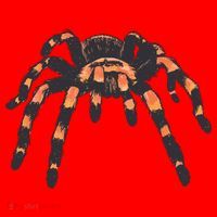 Realistic Tarantula Santa Hat thumb 1