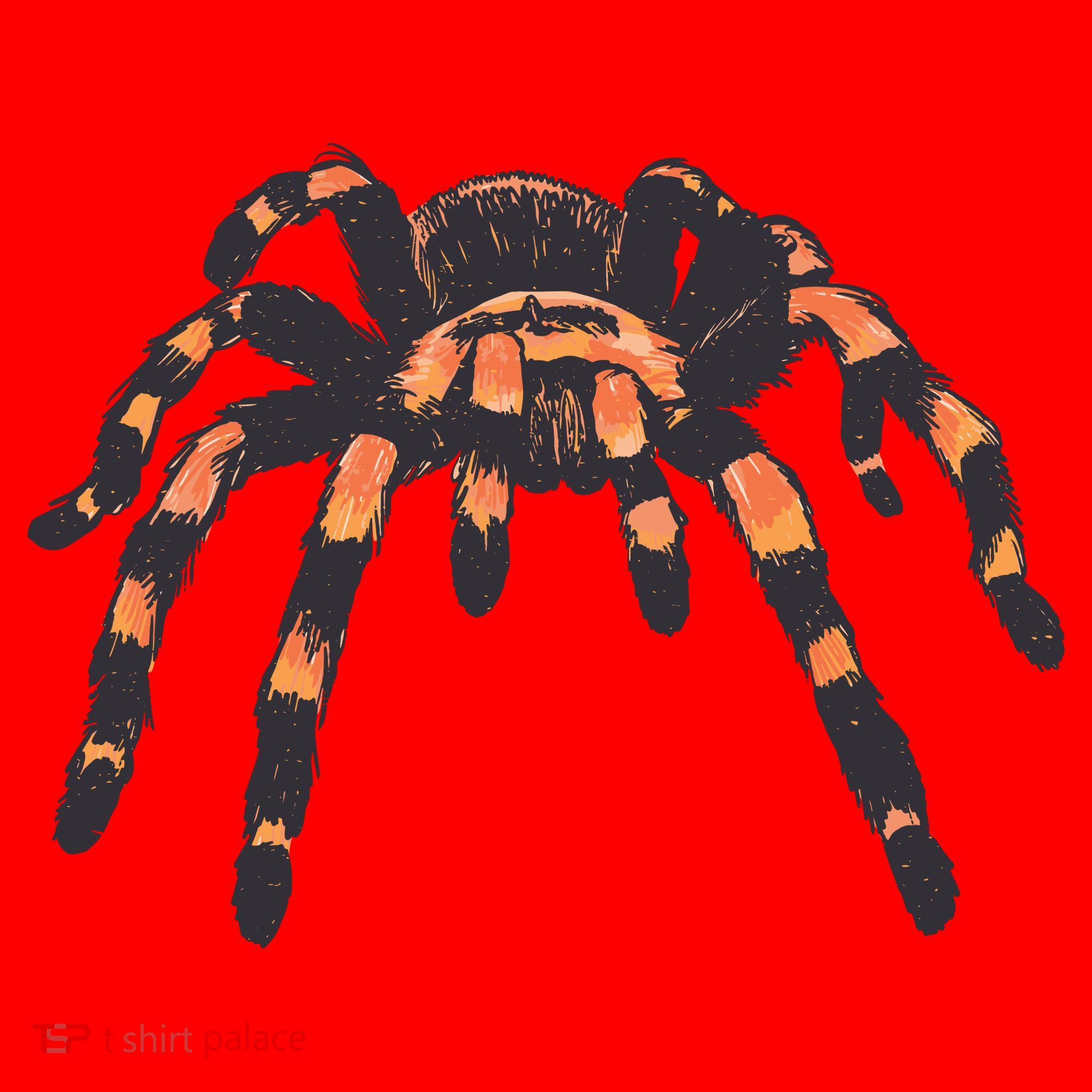 Realistic Tarantula Santa Hat