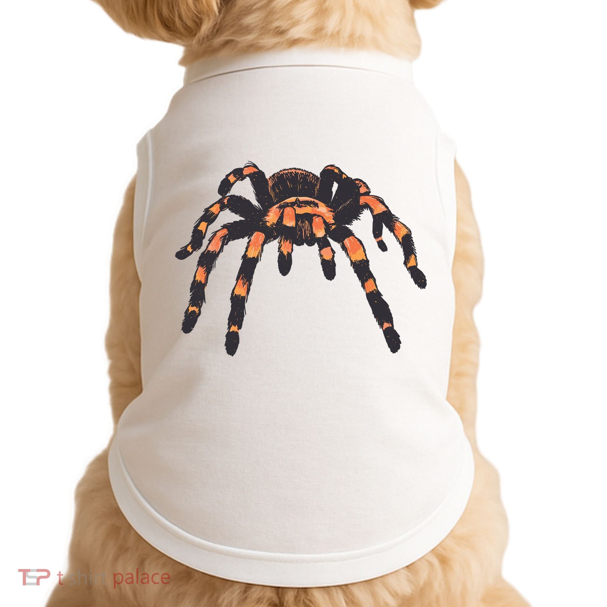 Realistic Tarantula Doggie Tank
