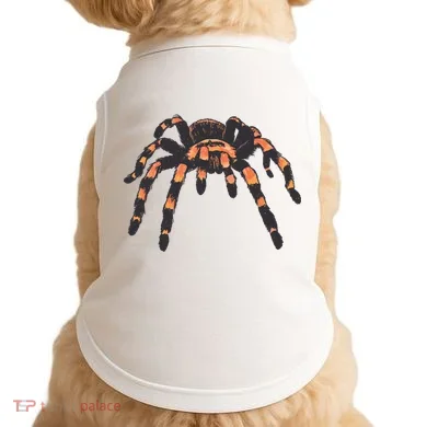 Realistic Tarantula Doggie Tank