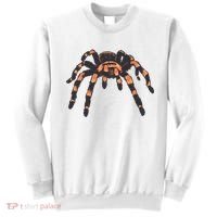 Realistic Tarantula Sweatshirt thumb 0
