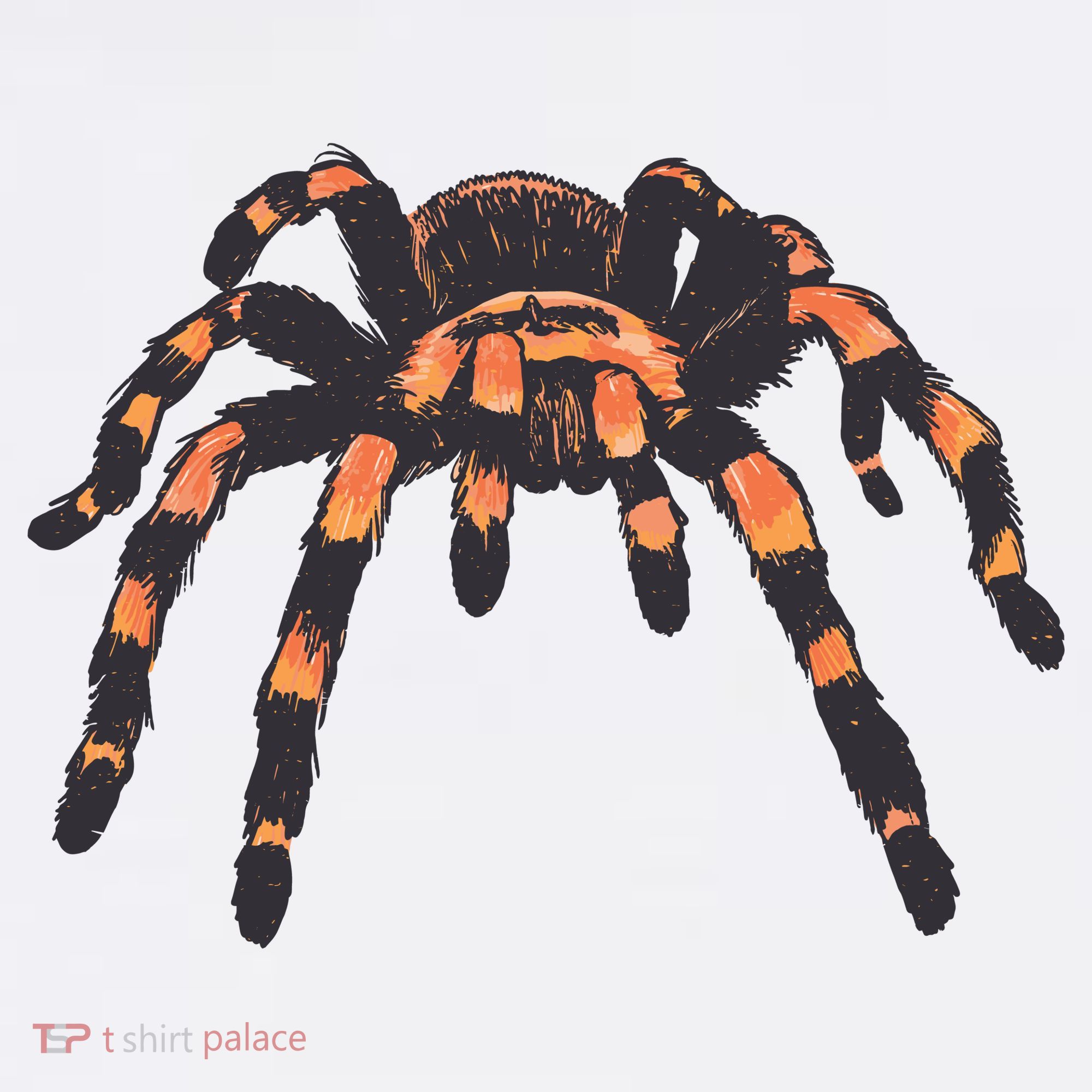 Realistic Tarantula Women's Hoodie