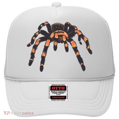 Realistic Tarantula Hat