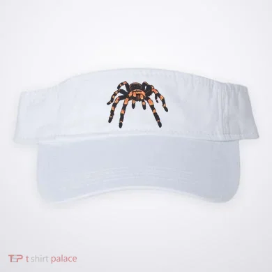 Visor