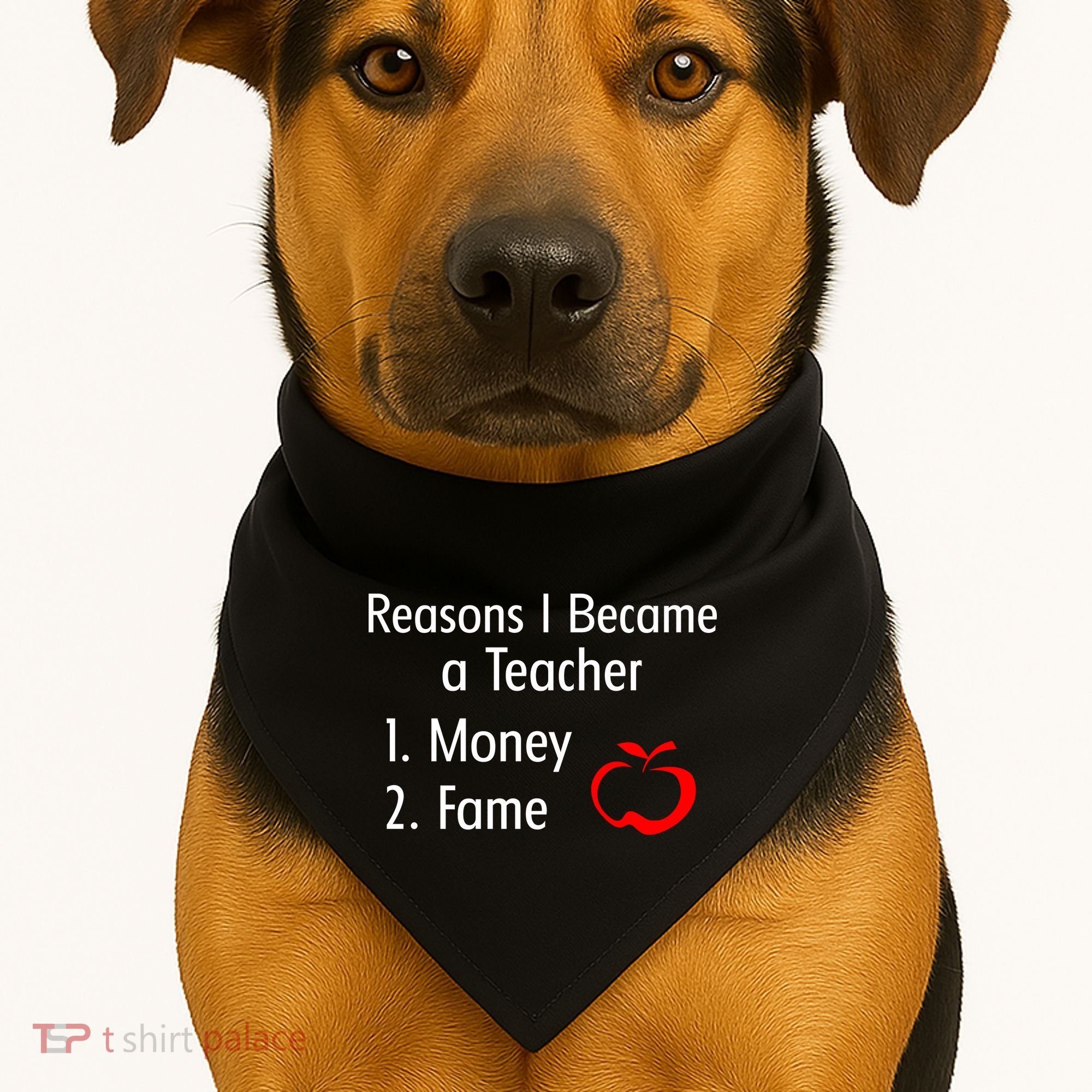 Reasons I Became A Teacher Funny USA-Made Doggie Bandana