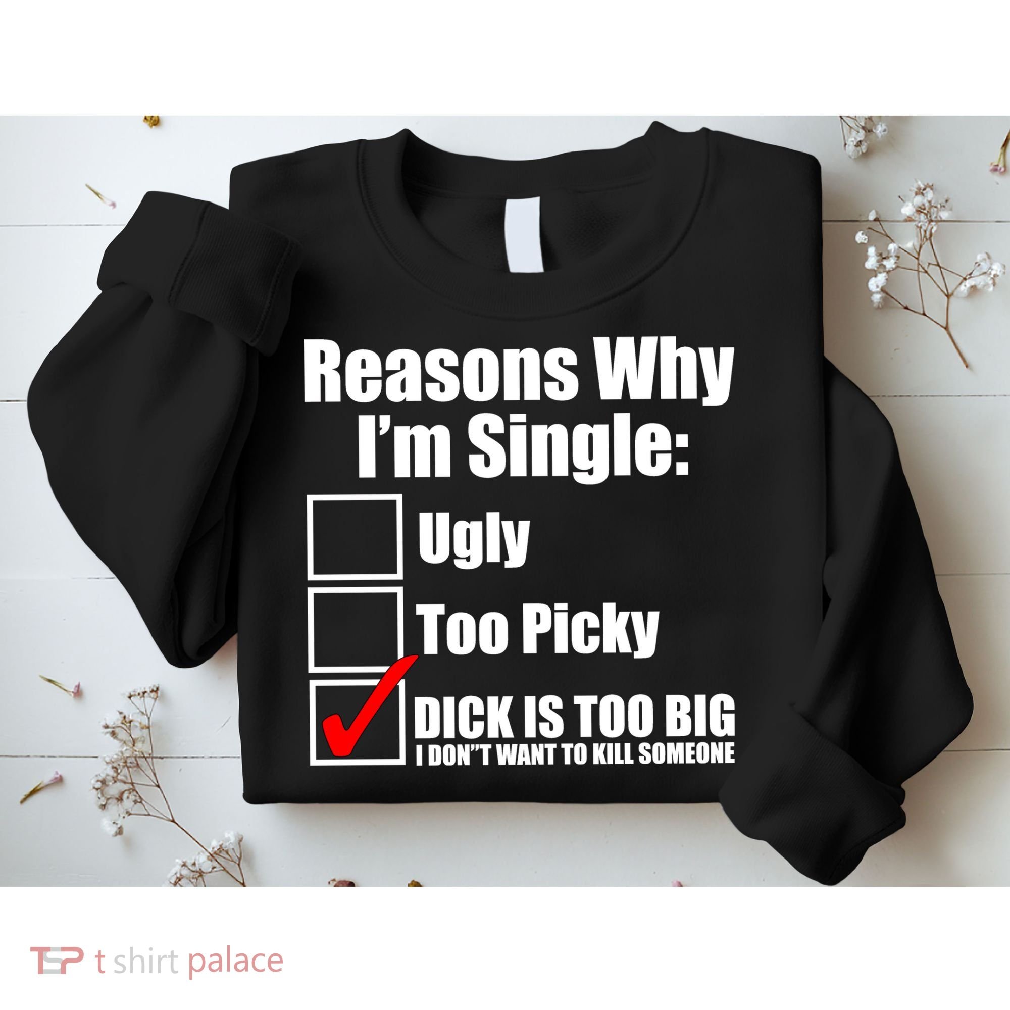 Reasons Why Im Single Ugly Picky Dick Too Big Mens Funny Sweatshirt