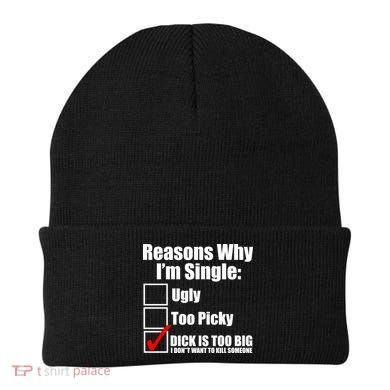 Reasons Why Im Single Ugly Picky Dick Too Big Mens Funny Beanie
