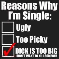 Reasons Why Im Single Ugly Picky Dick Too Big Mens Funny Beanie thumb 2