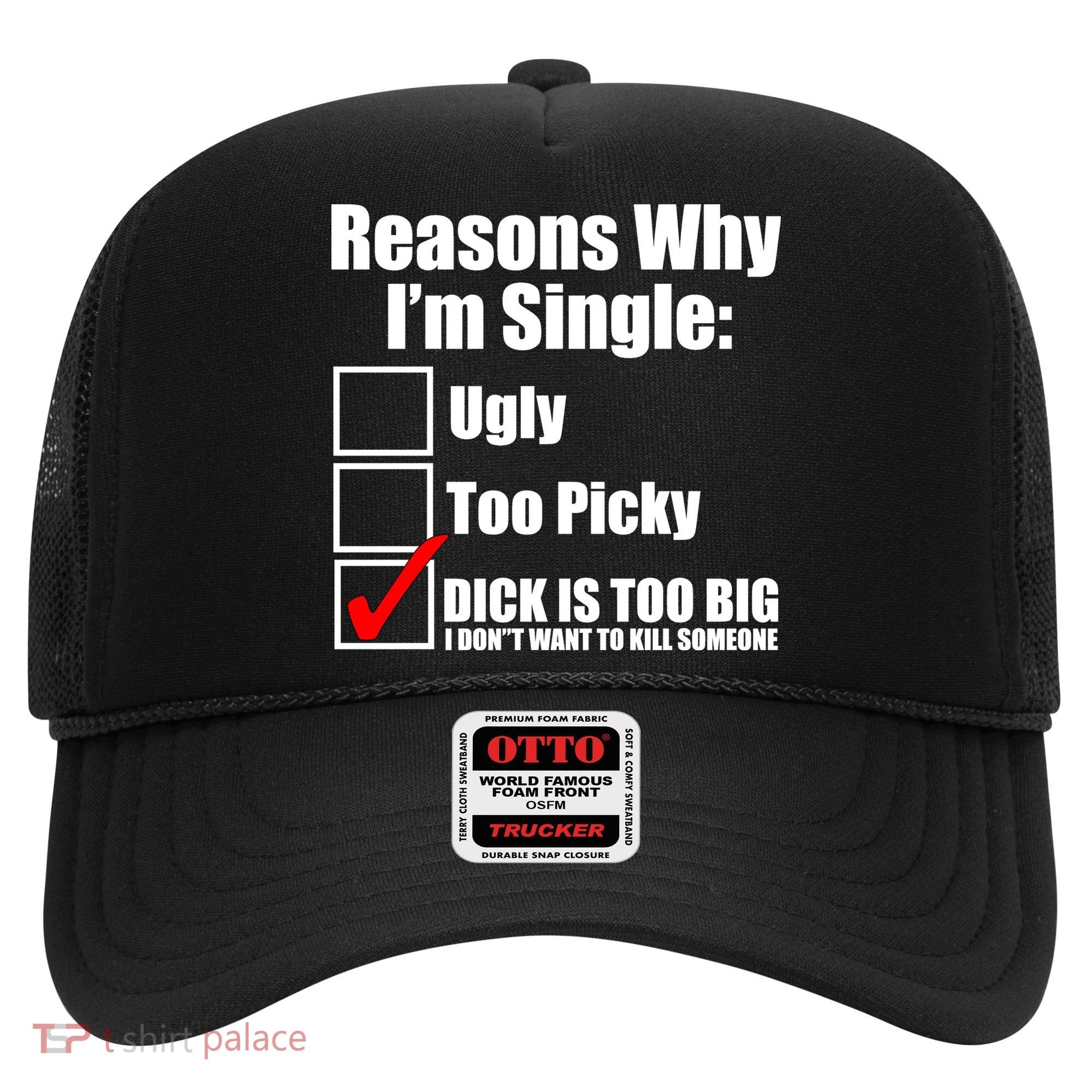 Reasons Why Im Single Ugly Picky Dick Too Big Mens Funny Hat