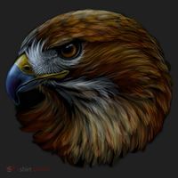 Realistic Eagle Close Up Women's Sweatshirt thumb 2