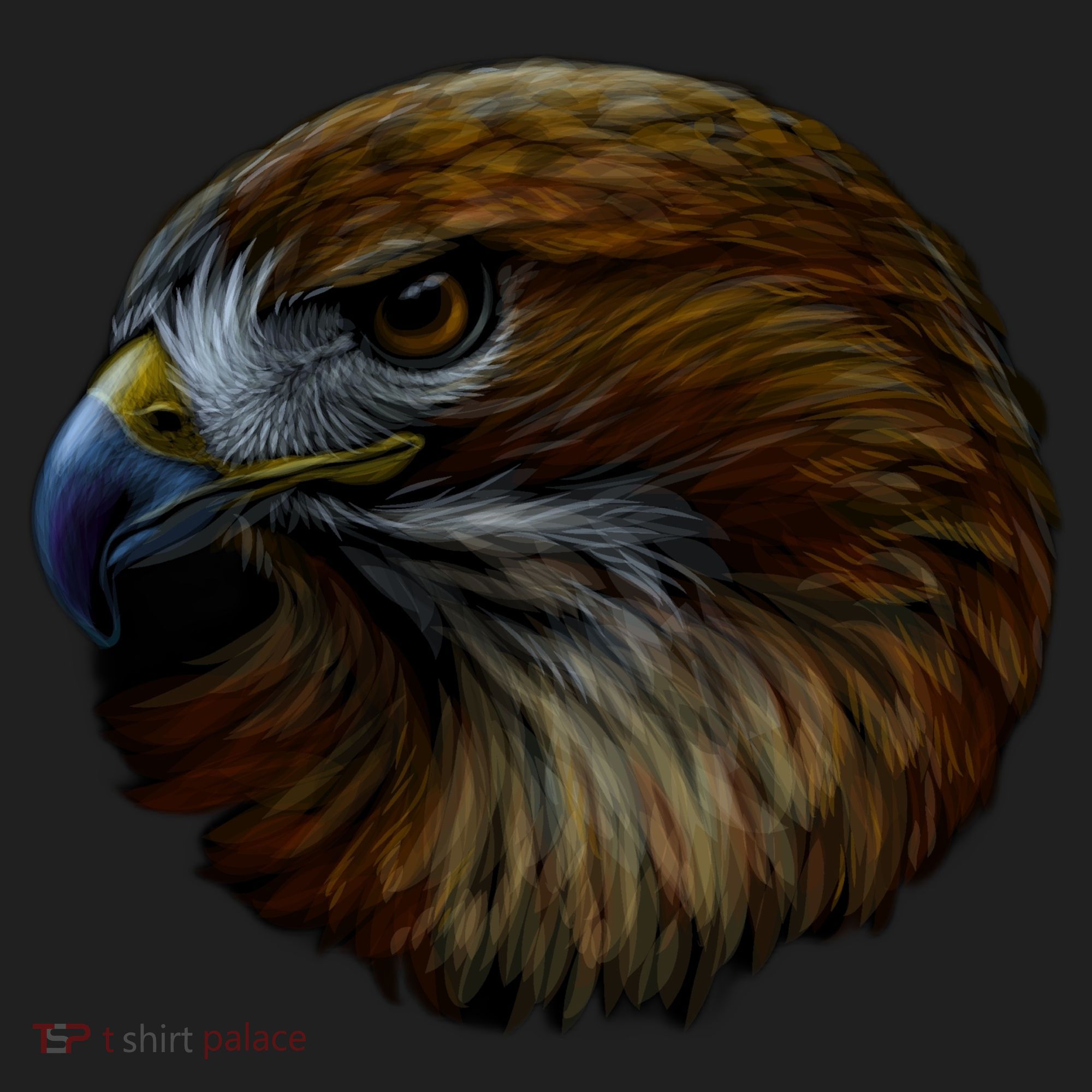 Realistic Eagle Close Up Women's Sweatshirt