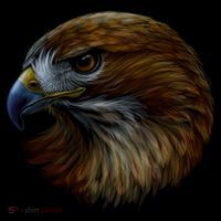 Realistic Eagle Close Up Backpack thumb 2