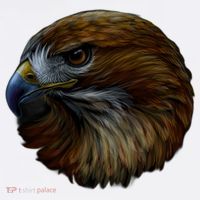 Realistic Eagle Close Up Bucket Hat thumb 4