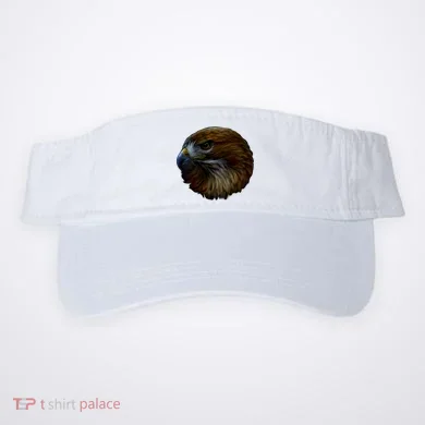 Visor