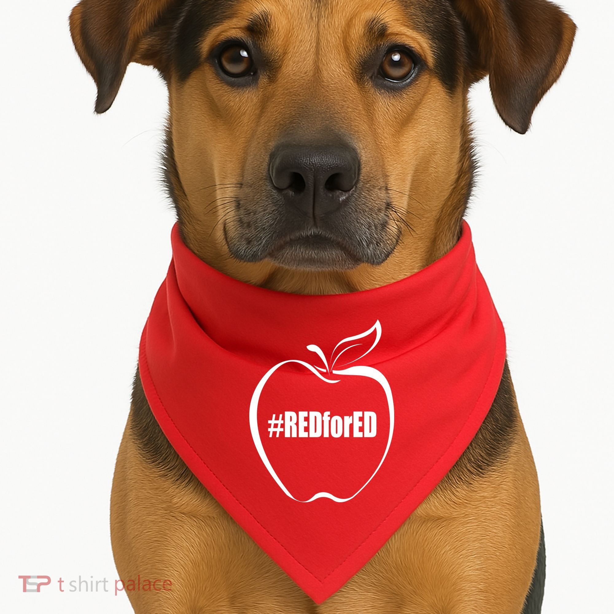 Red For Ed USA-Made Doggie Bandana