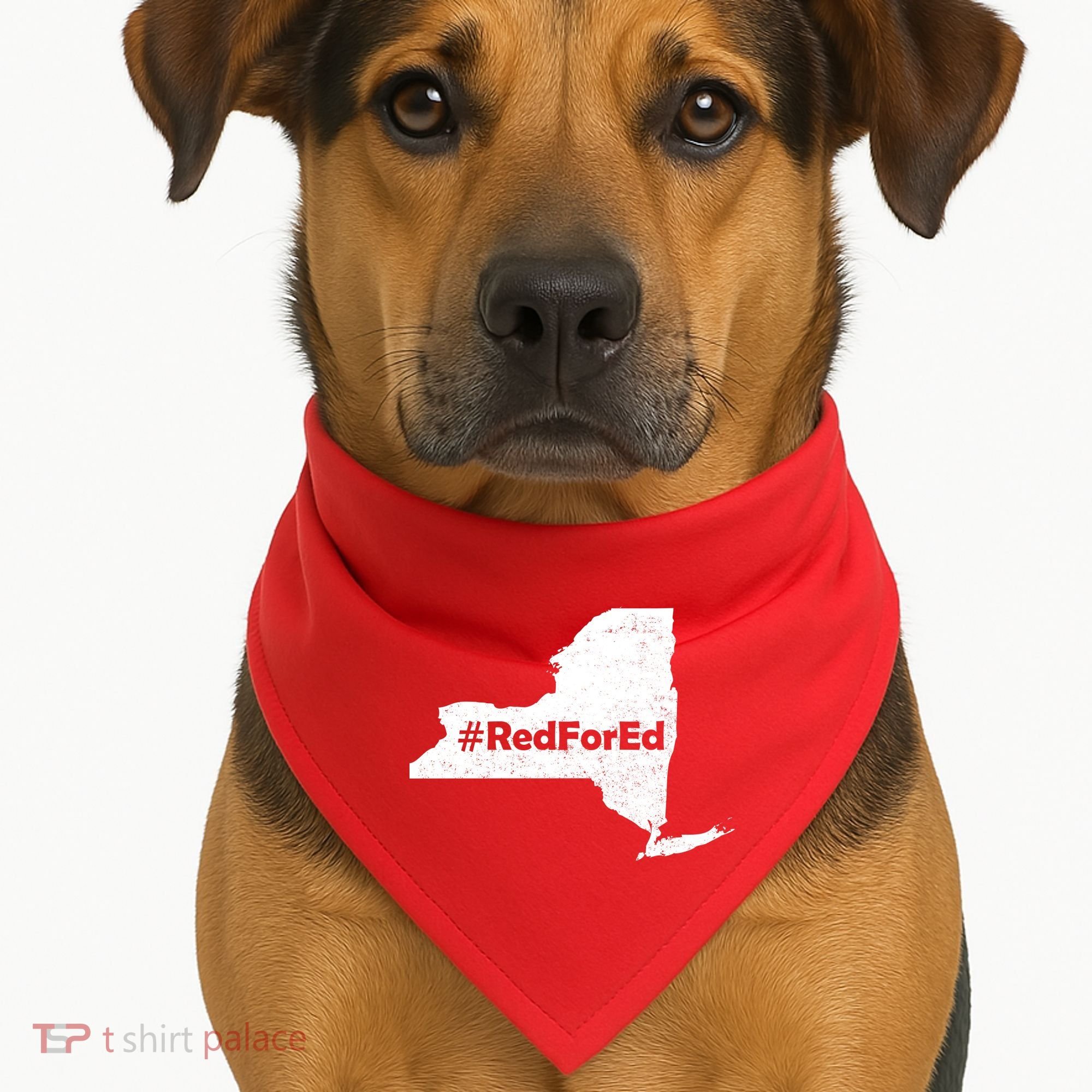 Red For Ed New York USA-Made Doggie Bandana