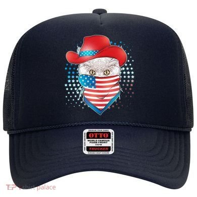 Red White and Blue Cowboy Cat Hat