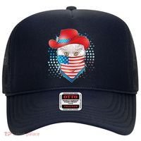 Red White and Blue Cowboy Cat Hat thumb 0