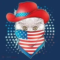 Red White and Blue Cowboy Cat Women's T-Shirt thumb 6