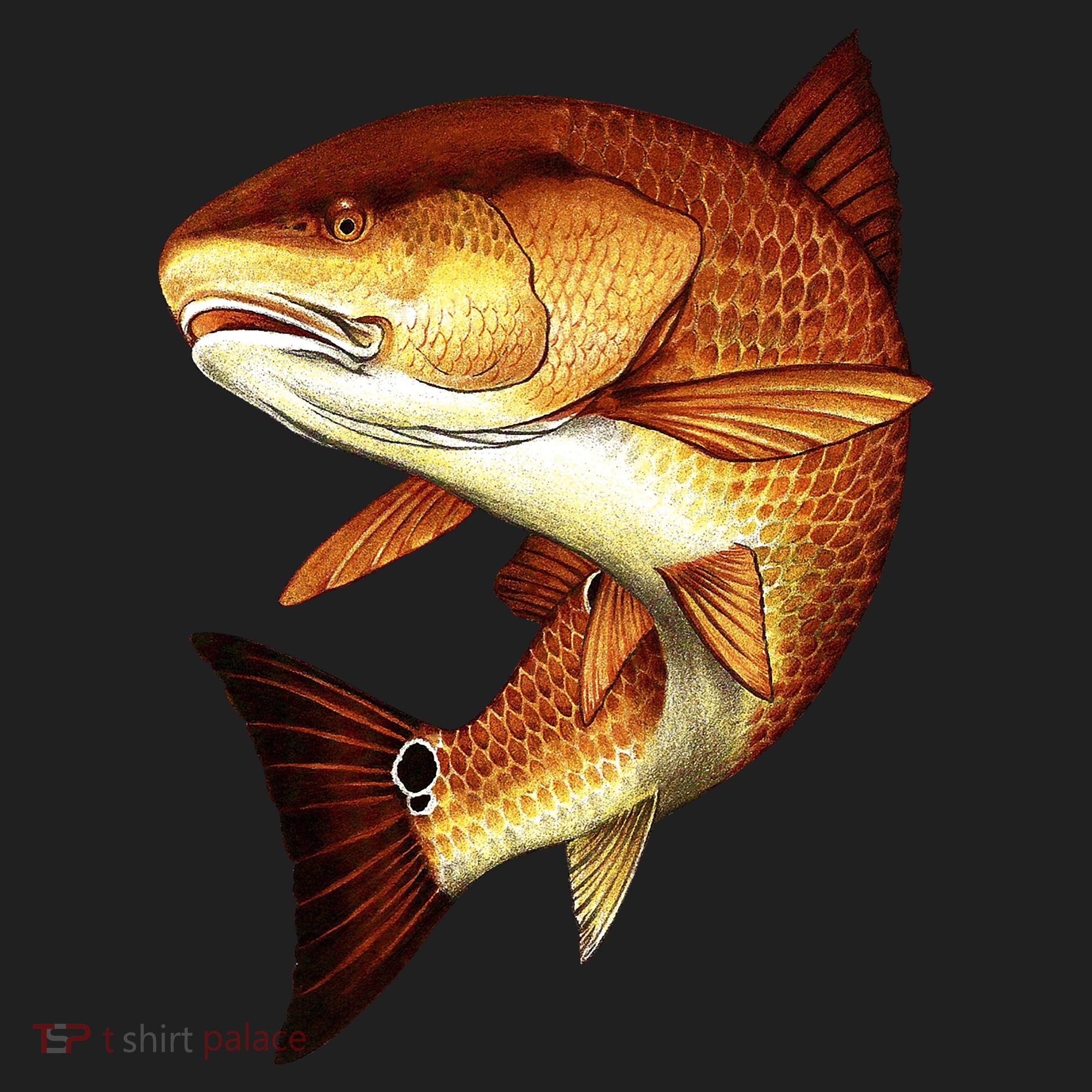 Redfish Swim Tumbler
