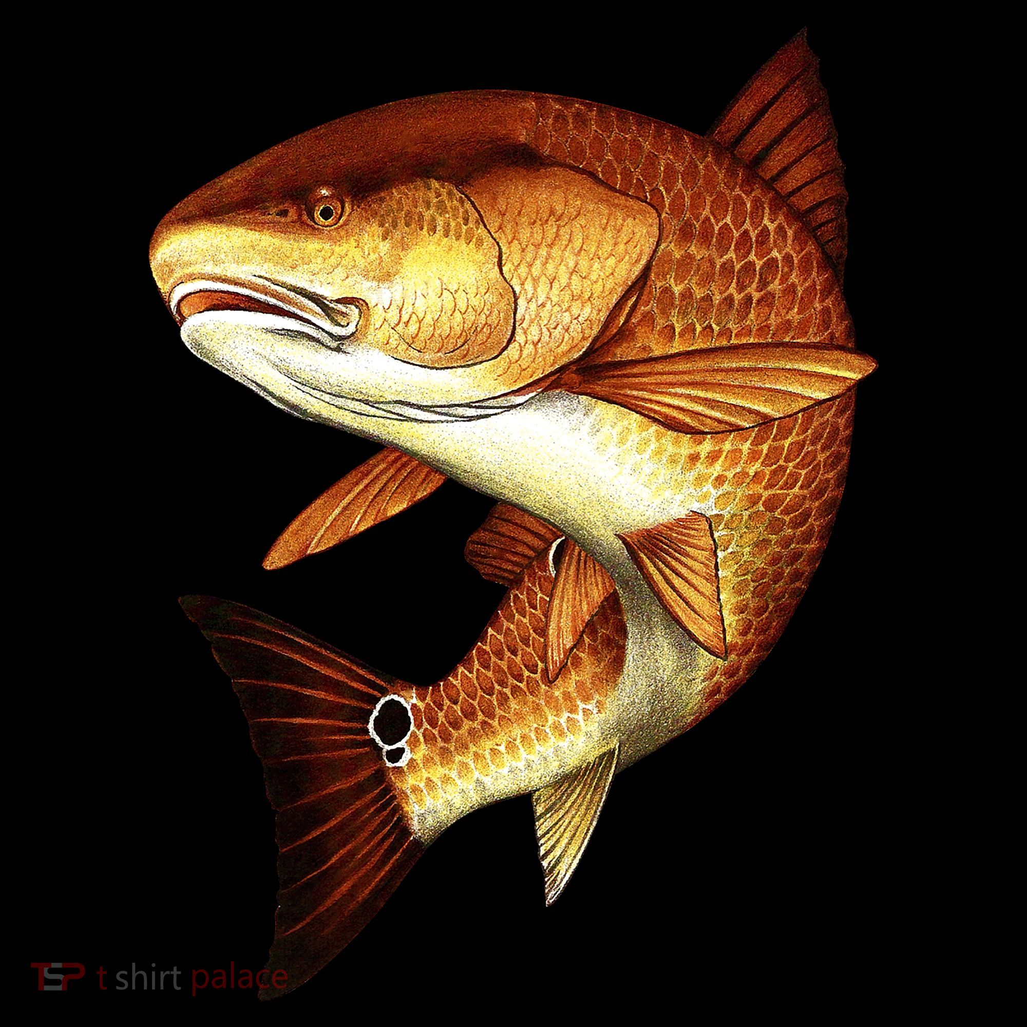 Redfish Swim Ornament