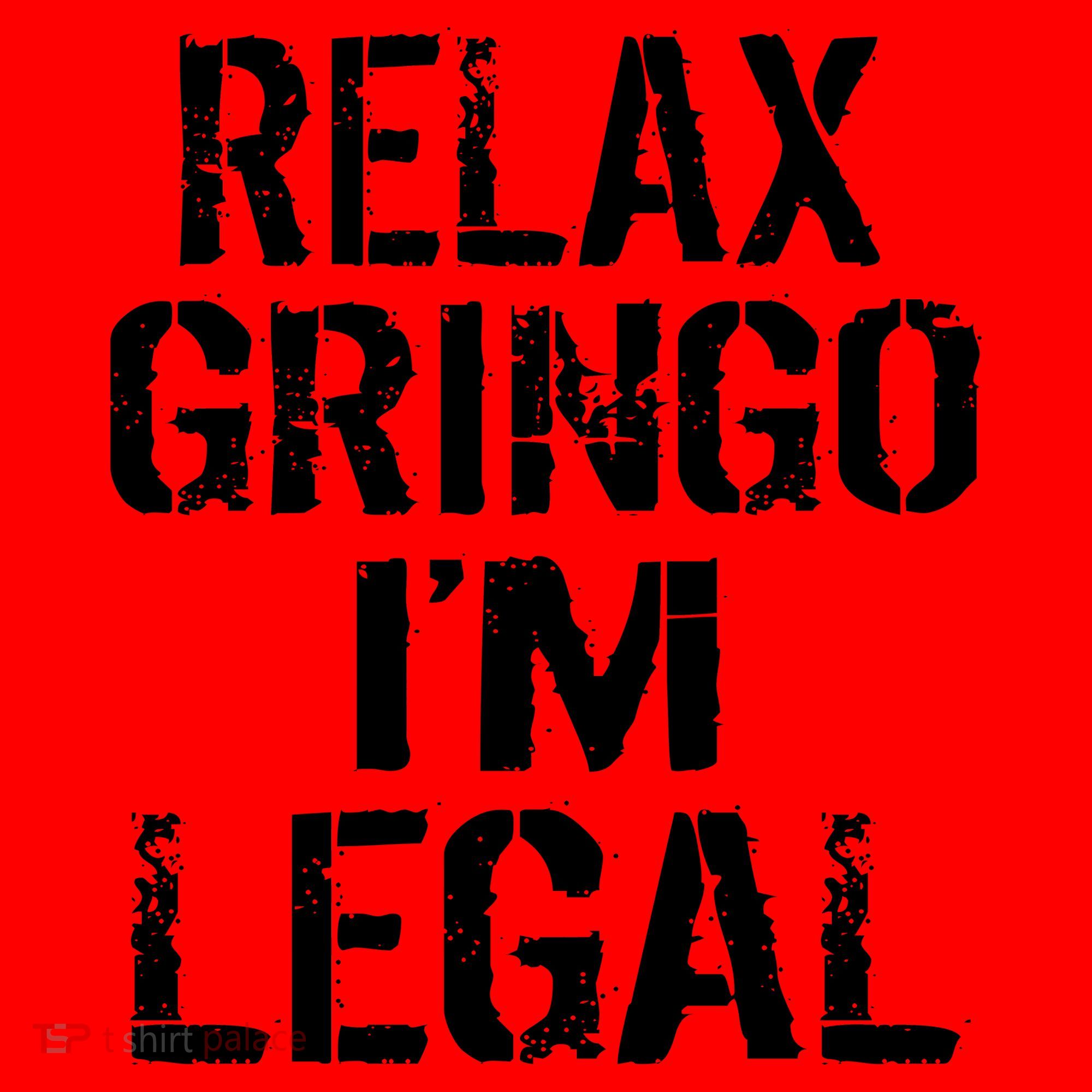 Relax Gringo I'm Legal Funny Immigration Santa Hat