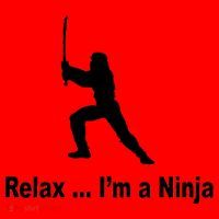 Relax I'm A Ninja Santa Hat thumb 1