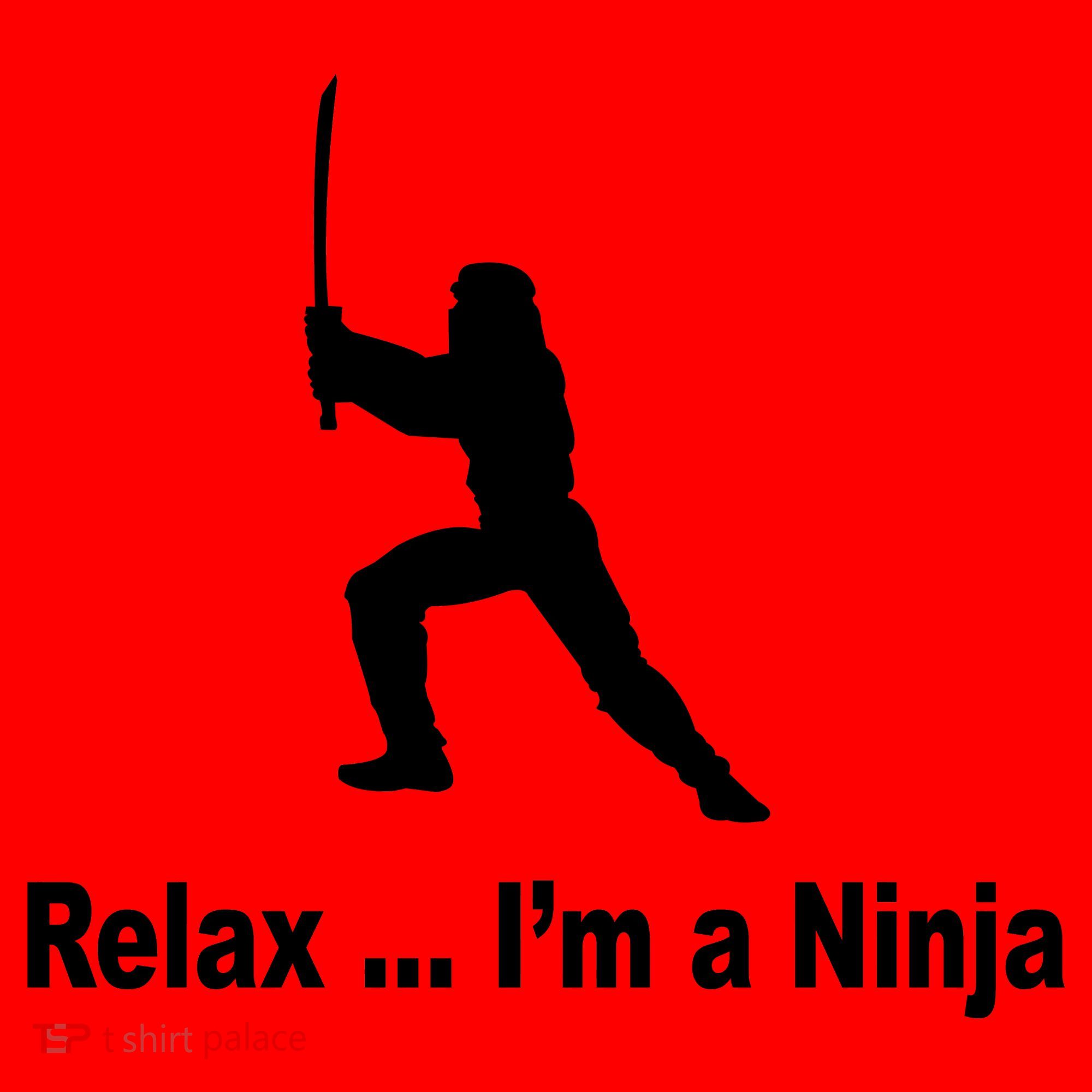 Relax I'm A Ninja Santa Hat