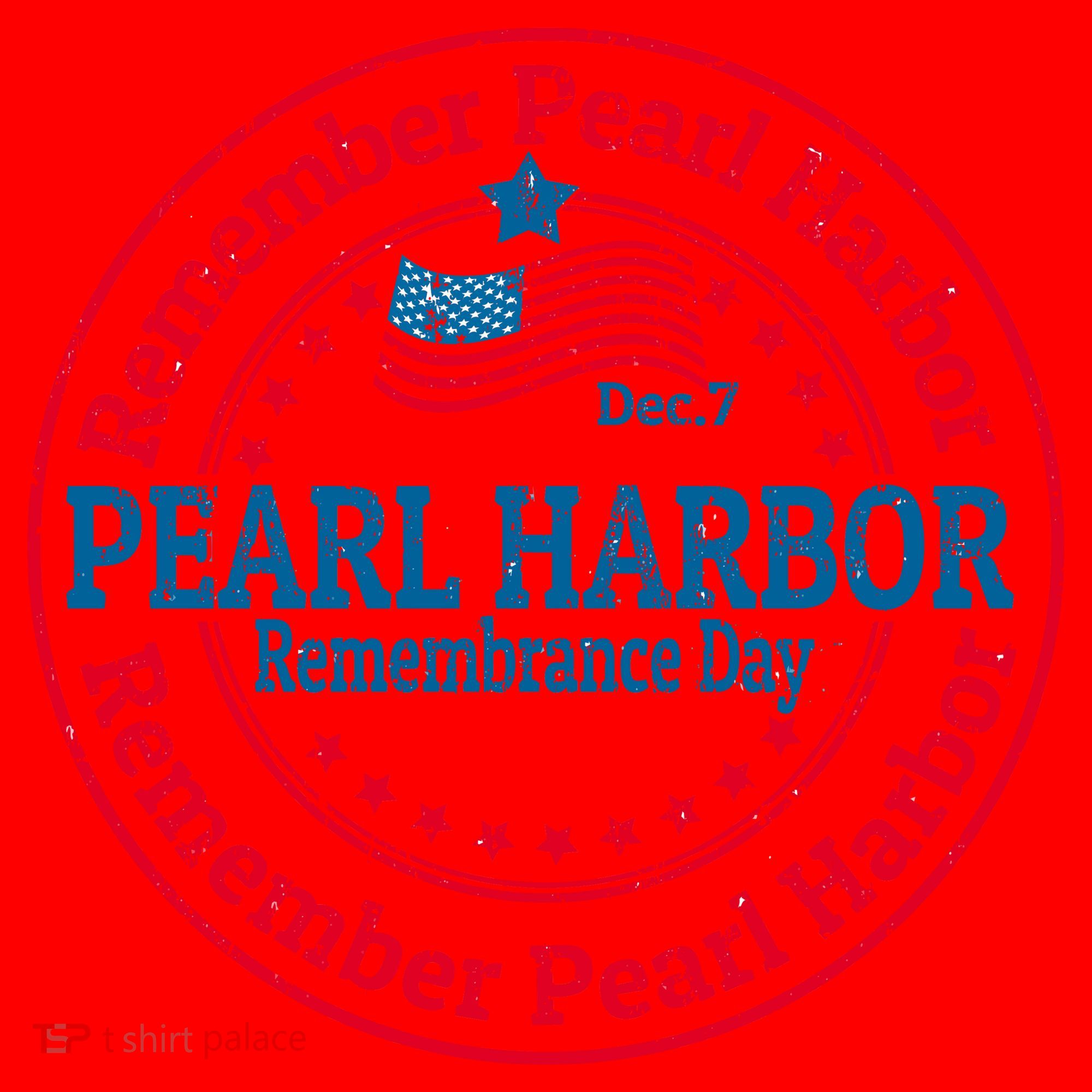 Remeber Pearl Harbor Santa Hat