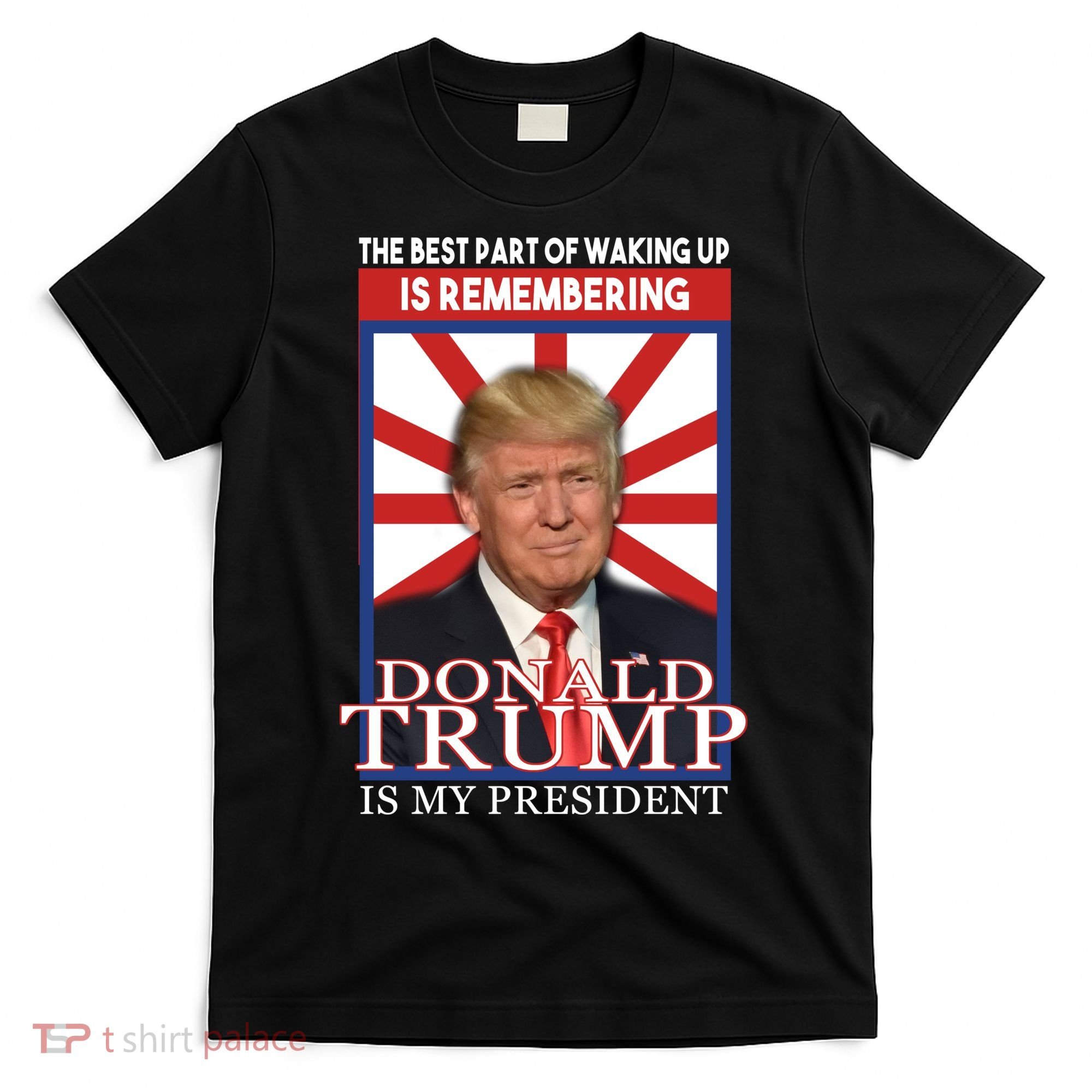 Remembering Donald Trump Is My President T-Shirt