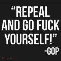Repeal and Go Fuck Yourself GOP on Obama Care Ornament thumb 1