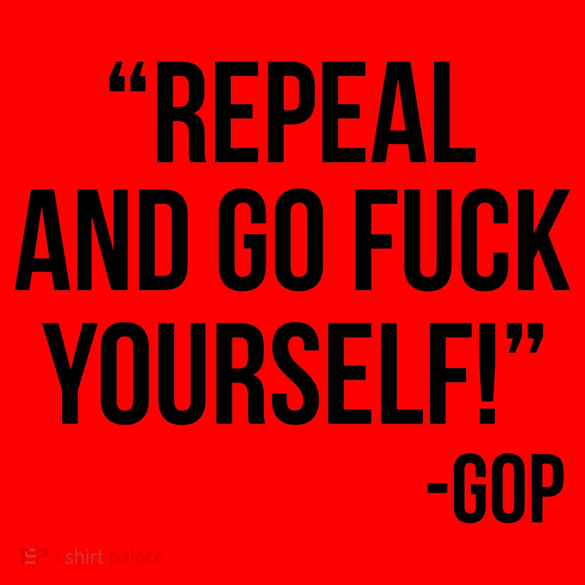 Repeal and Go Fuck Yourself GOP on Obama Care Santa Hat