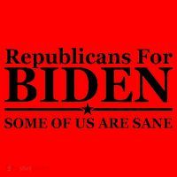 Republicans For Biden Some Of Us Are Sane Santa Hat thumb 1