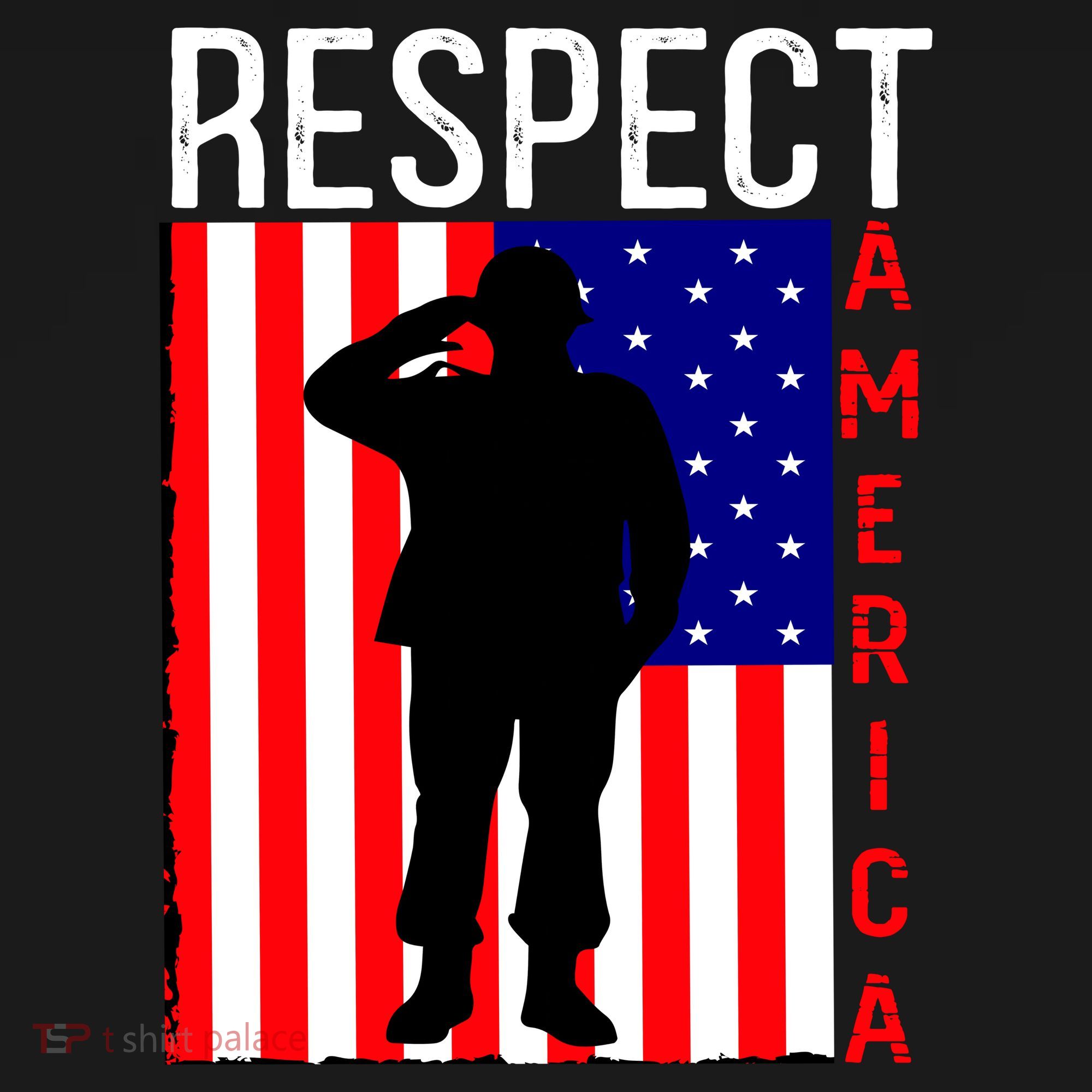Respect America Ornament