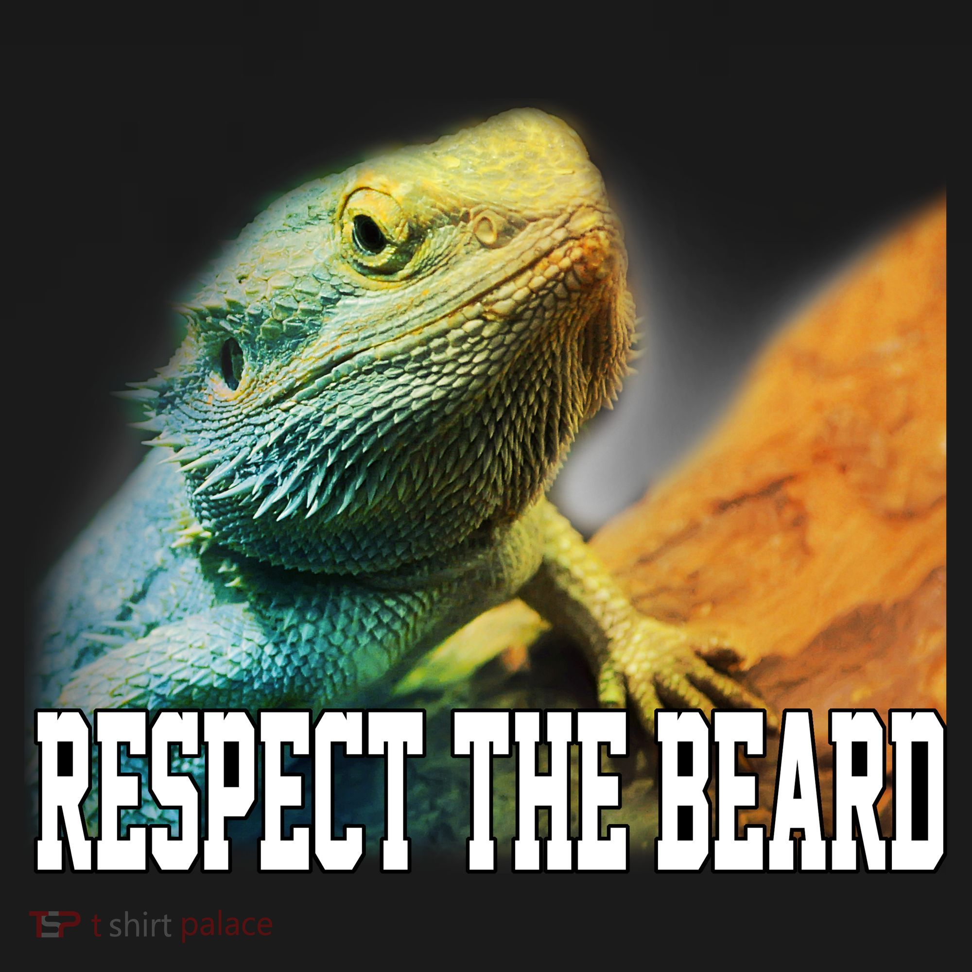 Respect The Beard Funny Bearded Dragon T-Shirt