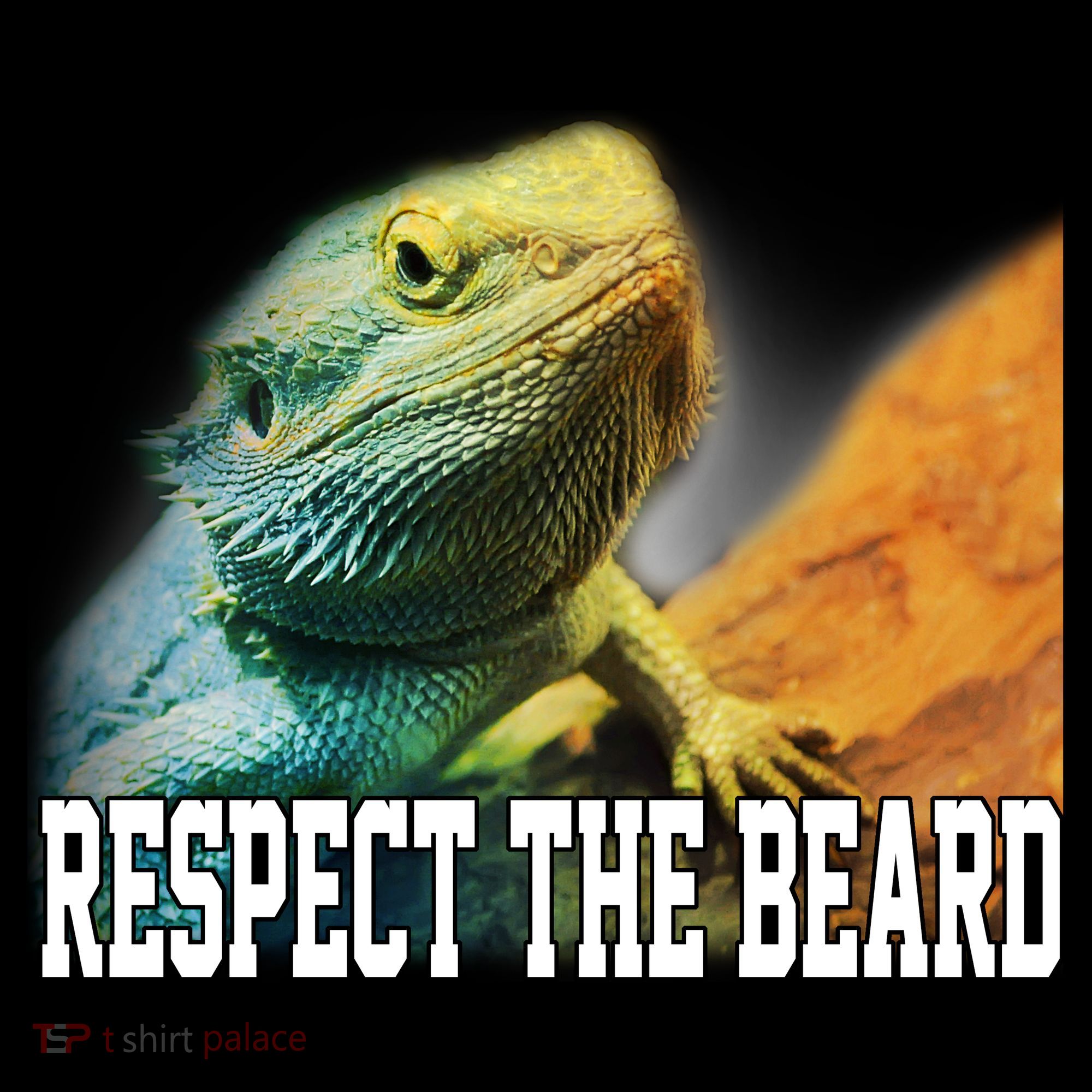 Respect The Beard Funny Bearded Dragon Visor