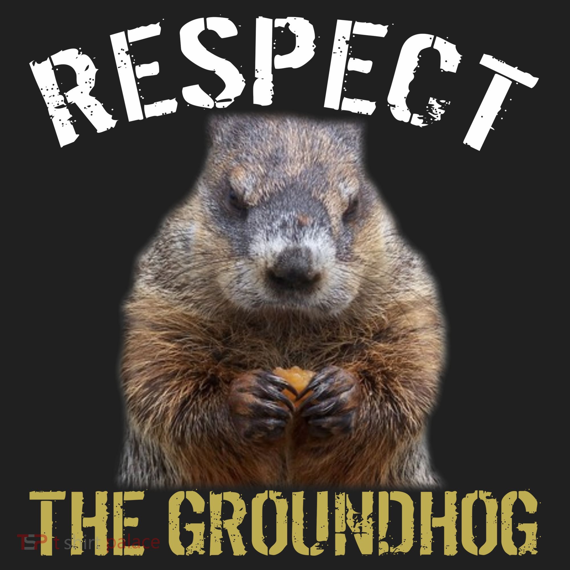 Respect The Groundhog Tumbler