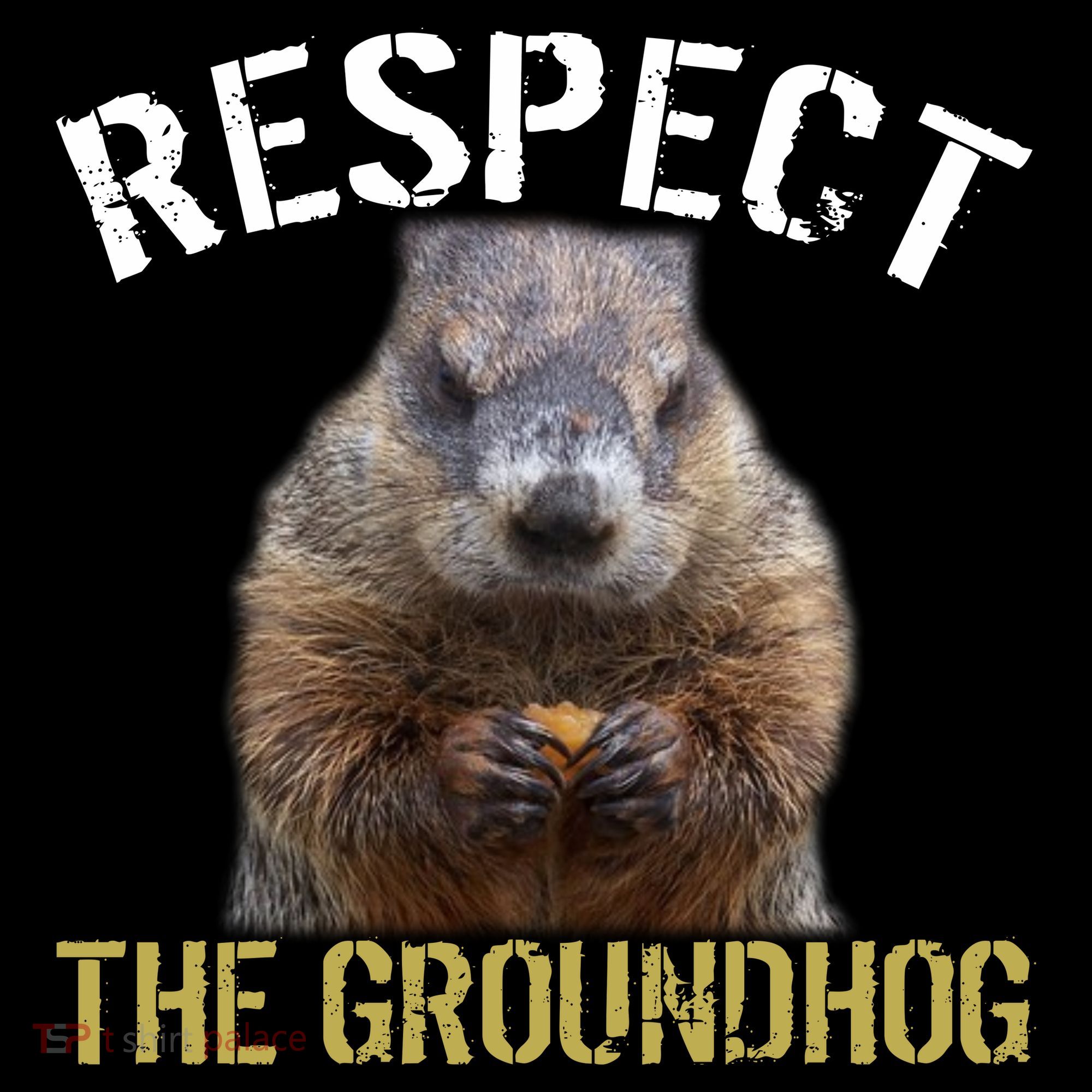 Respect The Groundhog Kids T-Shirt