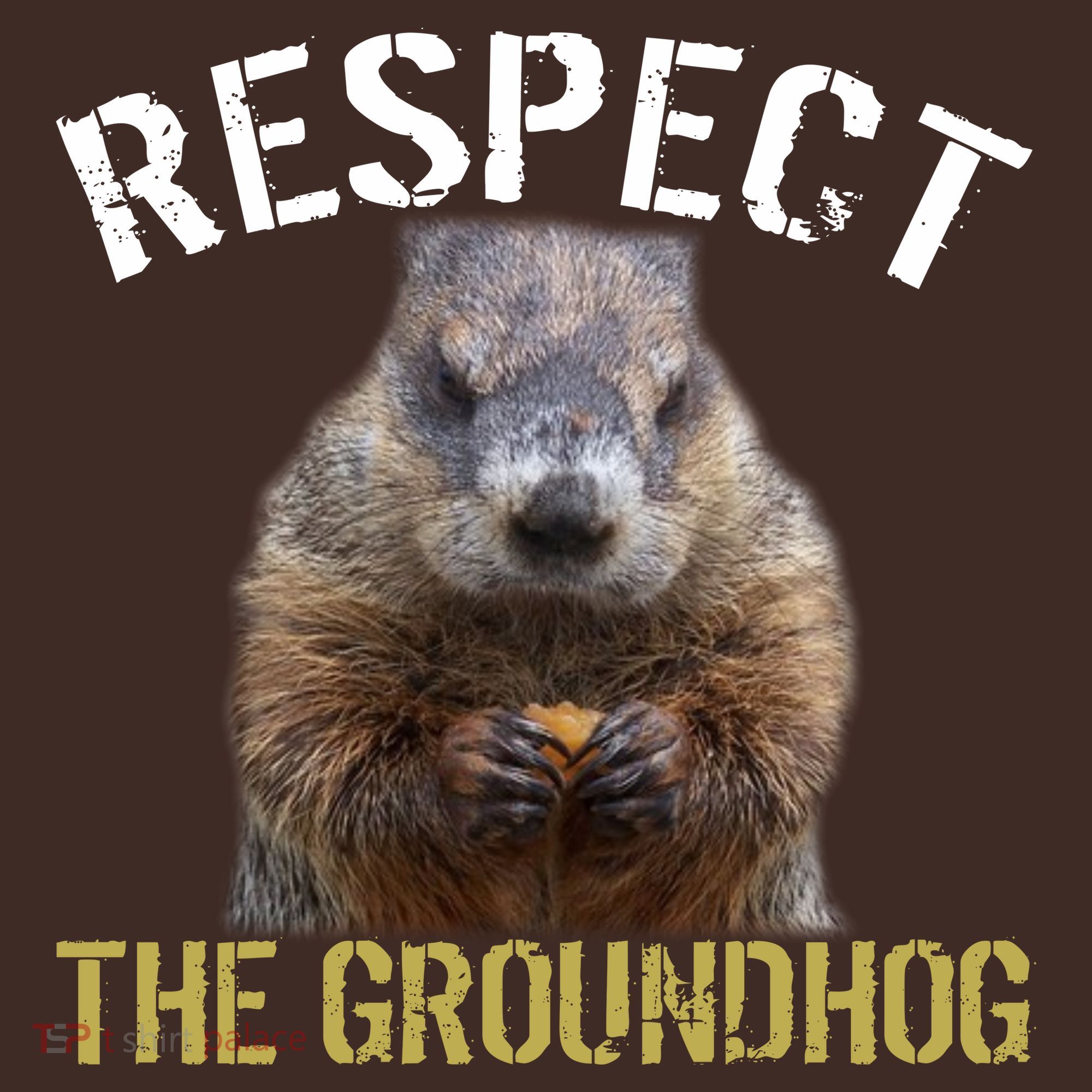 Respect The Groundhog Kids Hoodie