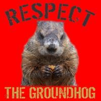 Respect The Groundhog Santa Hat thumb 1