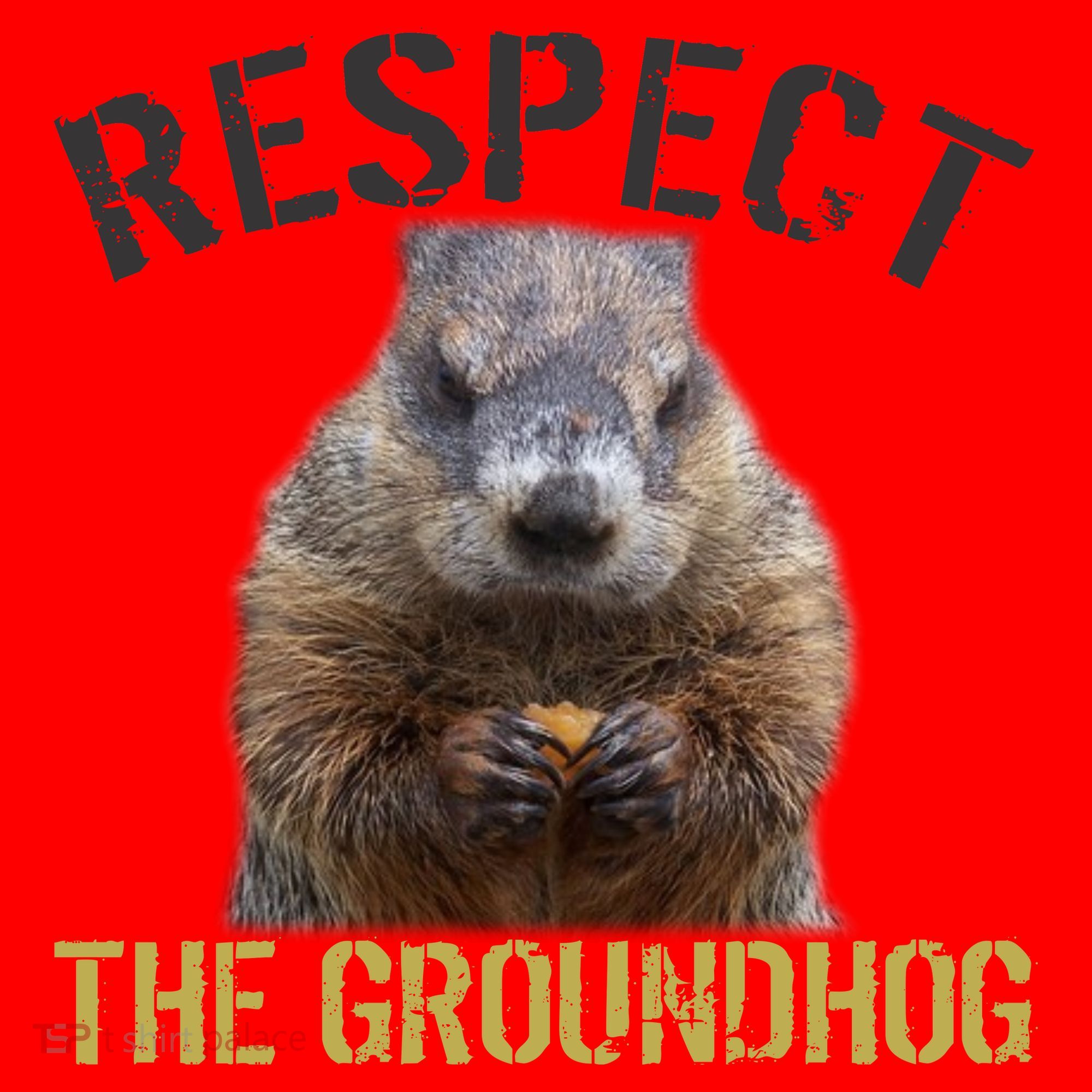 Respect The Groundhog Santa Hat